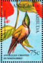 Antillean Crested Hummingbird (Orthorhyncus cristatus)
